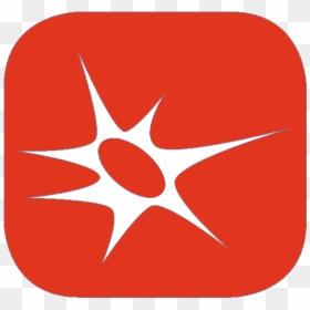 Circle, HD Png Download - nerves png