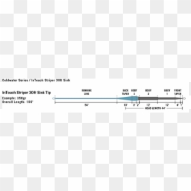 Diagram, HD Png Download - striper png