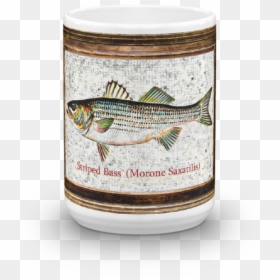 Trout, HD Png Download - striper png