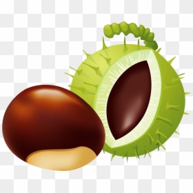 Chestnut Clipart, HD Png Download - cartoon chain png