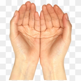 Holding Out Hands Png, Transparent Png - raised hand png