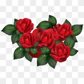 Red Roses Photo Transparent Background, HD Png Download - bloody rose png