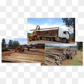 Lumber, HD Png Download - wooden pole png