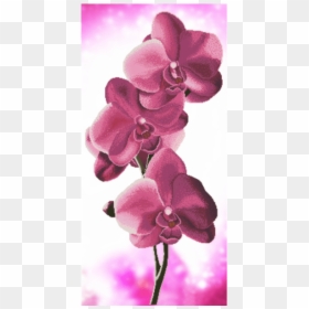 Вышивка Бисером Орхидея, HD Png Download - orquideas png