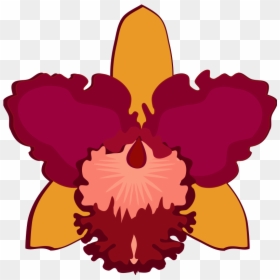 Flor Cattleya Png, Transparent Png - orquideas png