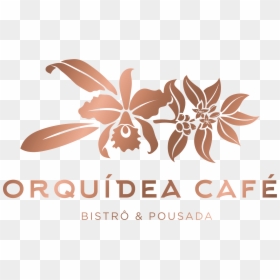 Logo Orquidea, HD Png Download - orquideas png