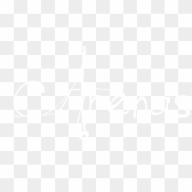Johns Hopkins Logo White, HD Png Download - anillos png