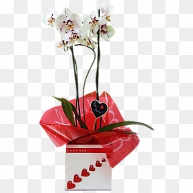 Bouquet, HD Png Download - orquideas png