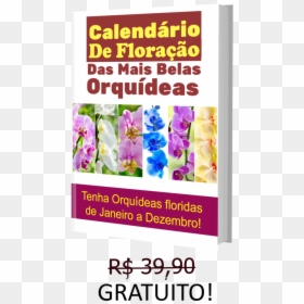 Poster, HD Png Download - orquideas png