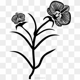 Moth Orchid, HD Png Download - orquideas png