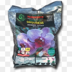 Moth Orchid, HD Png Download - orquideas png