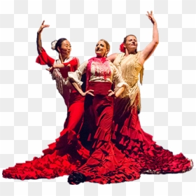 Flamenco, HD Png Download - flamenco png