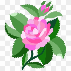Damask Rose Clipart, HD Png Download - dead flower png