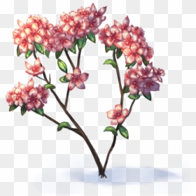 Azalea Flower Drawing, HD Png Download - dead flower png