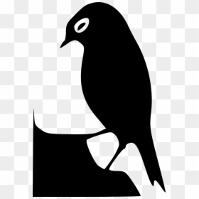 Bird Silhouette, HD Png Download - wings silhouette png