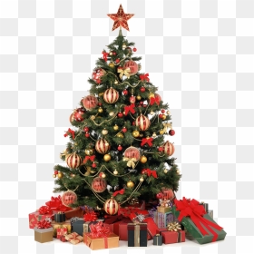 Big Christmas Tree Png, Transparent Png - christmas divider png