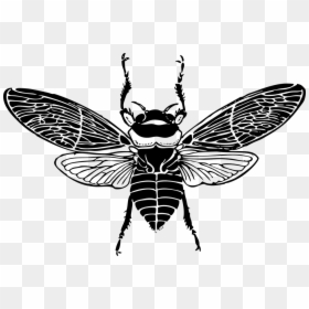 Bee Top View, HD Png Download - bee silhouette png