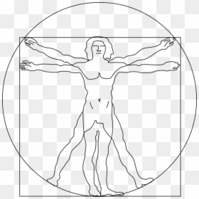 Vitruvian Man Vector, HD Png Download - compartir png