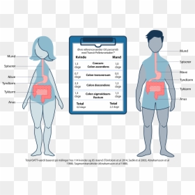 Diagram, HD Png Download - compartir png