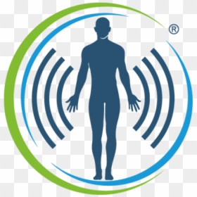 Biofield Tuning, HD Png Download - bee silhouette png