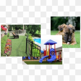 Playground, HD Png Download - grass blade png