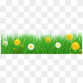 Nature Background Png, Transparent Png - nature background png