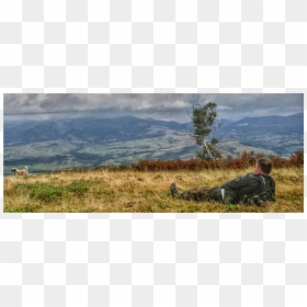 Grass, HD Png Download - nature background png