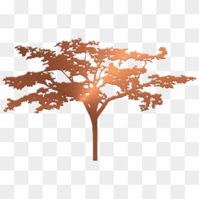 Plane-tree Family, HD Png Download - nature background png