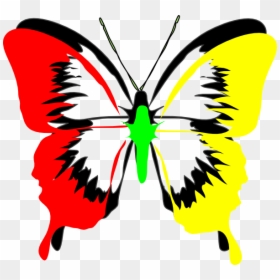 Cartoon Butterfly Images Black And White, HD Png Download - buterfly png