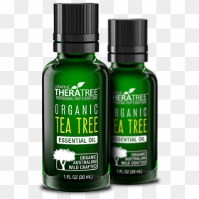 Organic Tea Tree Oil, HD Png Download - tea tree png