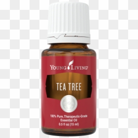 Sacred Frankincense Essential Oil Young Living, HD Png Download - tea tree png