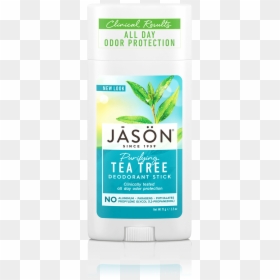 Jason Purifying Tea Tree Deodorant Stick, HD Png Download - tea tree png