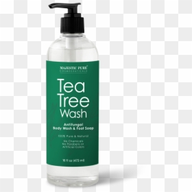 Bottle, HD Png Download - tea tree png