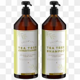 Best Argan Oil Shampoo, HD Png Download - tea tree png