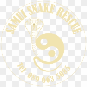 Circle, HD Png Download - snake logo png