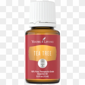 Young Living Thieves 15ml, HD Png Download - tea tree png