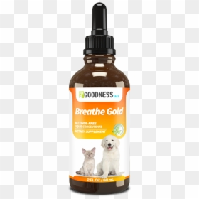 Joyspring Immune Boost, HD Png Download - coughing png