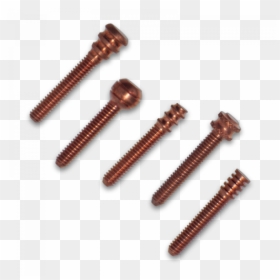 Wood, HD Png Download - screws png