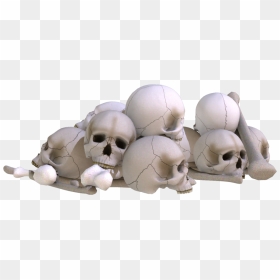 Pile Of Skulls Png, Transparent Png - skull pile png