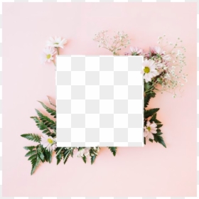 Aesthetic Flower Png, Transparent Png - polaroid frame png