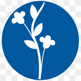Circle, HD Png Download - flores png