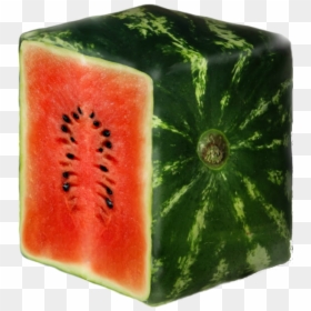 Square Watermelons, HD Png Download - watermelon png