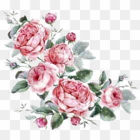 Aesthetic Flower Png Transparent, Png Download - flores png