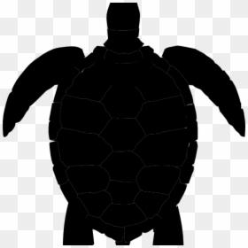 Silhouette Sea Turtle Png, Transparent Png - turtle png