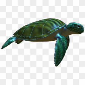 Green Sea Turtle, HD Png Download - turtle png