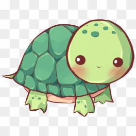 Kawaii Turtle, HD Png Download - turtle png