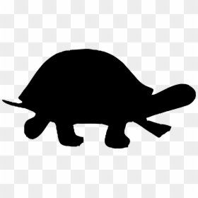 Silhouette Of A Turtle, HD Png Download - turtle png