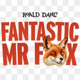 Red Fox, HD Png Download - fox png