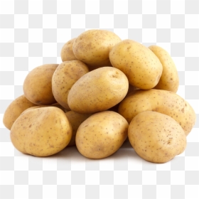 Big Yellow Potato, HD Png Download - potato png