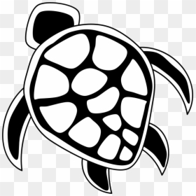 Sea Turtle Clipart Transparent, HD Png Download - turtle png
